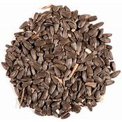 NATURE'S SEASON OIL SUNFLOWER SEEDS 40LB
