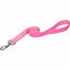COASTAL STYLES LEASH 6'