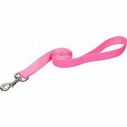 COASTAL STYLES LEASH 6'