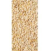 NATURE'S SEASONS WHITE MILLET 50LB