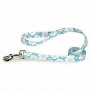 COASTAL STYLES LEASH 6'