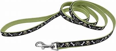 COASTAL STYLES LEASH 6'
