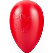 JOLLY PET EGG