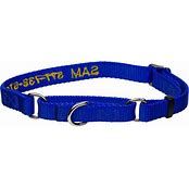 COASTAL MARTINGALE COLLAR 3/4" 14-20''