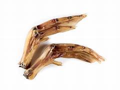 DUCK FEET