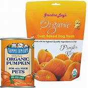 NUMTUM PUMPKIN 15OZ