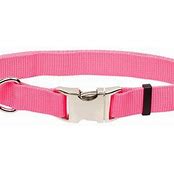 COASTAL ADJUSTABLE METAL BUCKLE