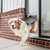 PETSAFE EXTREME WEATHER PET DOOR