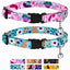 COASTAL FASHION BREAKAWAY COLLAR W/BELL