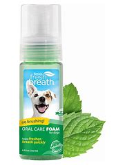 TROPICLEAN FRESH BREATH FOAM 4.5OZ