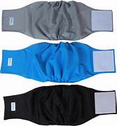 MIDLEE REUSABLE & WASHABLE BELLY BAND