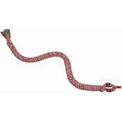 MAMMOTH FLOSSY CHEWS LARGE SNAKEBITER