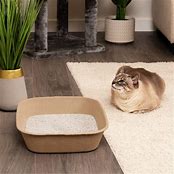 LARGE KITTY SIFT SIFTABLE DISPOSABLE LITTER BOX