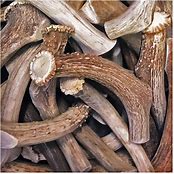 ANTLER BULK GRADE A *DEER* BLACK DOT