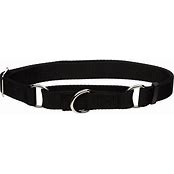 COASTAL NO SLIP MARTINGALE COLLAR W/BUCKLE