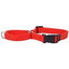 COASTAL NO SLIP MARTINGALE COLLAR W/BUCKLE