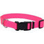 COASTAL NO SLIP MARTINGALE COLLAR W/BUCKLE