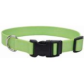 COASTAL RIBBON DOG COLLAR