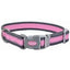 COASTAL PRO REFLECTIVE ADJUSTABLE COLLAR