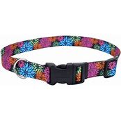 COASTAL STYLES COLLAR