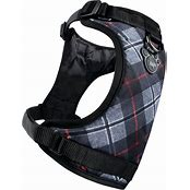 CANADA POOCH EVERYTHING HARNESS