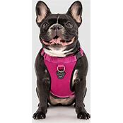 CANADA POOCH EVERYTHING HARNESS