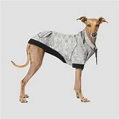 CANADA POOCH HERO HOODIE