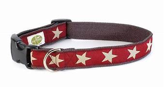 COASTAL STYLES COLLAR
