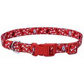 COASTAL STYLES COLLAR