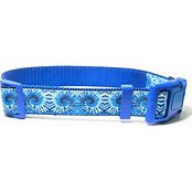 COASTAL STYLES COLLAR
