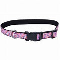 COASTAL STYLES COLLAR