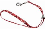 COASTAL STYLES LEASH 6'