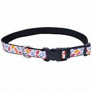 COASTAL STYLES COLLAR